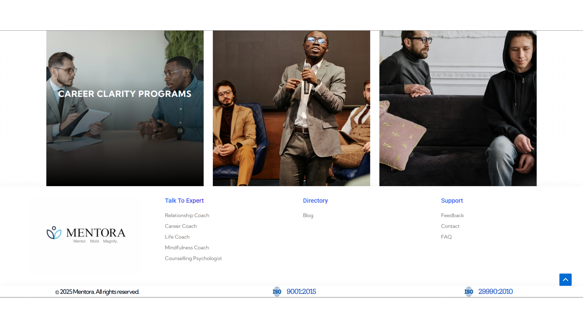 Website design 24